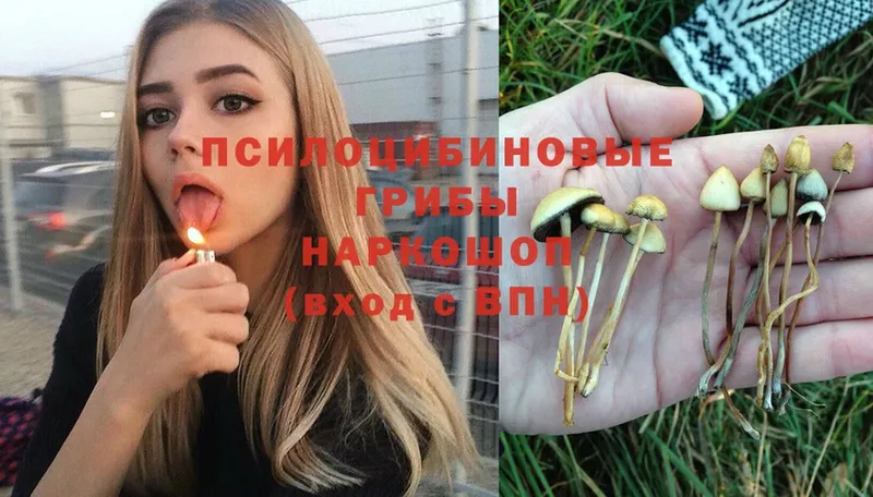 Псилоцибиновые грибы Magic Shrooms  blacksprut зеркало  Мышкин 